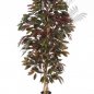 Preview: CAPENSIA BUSH TREE 37906NR