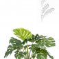 Preview: Monstera Busch 60cm 10 Blätter 422993