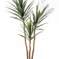Preview: Yucca Tree De Luxe X 3 160cm 42405N