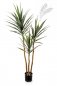 Preview: Yucca Tree De Luxe X 3 160cm 42405N