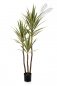 Preview: Var. Yucca Tree De Luxe X 160cm 42405NG