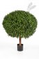 Preview: BOXWOOD BALL 100 cm 445XXL
