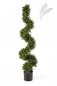 Preview: Boxwood Spiral Tree 135cm 45005N