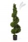 Preview: Boxwood Royal Spiral Tree 135cm 45205N