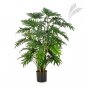 Preview: PHILODENDRON SELLOUM 100 cm 51103N