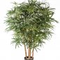 Preview: ARALIA BUSH TREE 115cm 51504N
