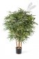 Preview: ARALIA BUSH TREE 115cm 51504N