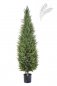 Preview: CYPRESS TOWER TREE 56105N