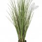 Preview: HONEY GRASS 80cm 59080FR