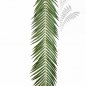 Preview: PHOENIX PALM SPRAY 107 CM 5920M