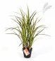 Preview: NATURAL GRASS 75CM 5927N