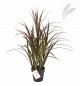 Preview: NATURAL RED GRASS 75 CM 5927R