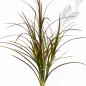 Preview: NATURAL RED GRASS BUNCH 80 CM 5928R