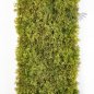 Preview: FR MOSS CARPET 25x50 MiXED GREEN 5960FR