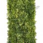 Preview: FR MOSS CARPET 25x50 FRESH GREEN 5961FR