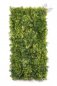 Preview: FR MOSS CARPET 25x50 FRESH GREEN 5961FR