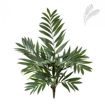 PARLOUR PALM BUSH 1025N
