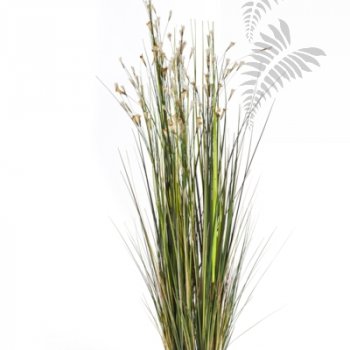 Preview: CORAL GRASS W/CREAM FLOWERS 1046CR