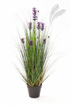 LAVENDER GRASS 90 1047LV-090