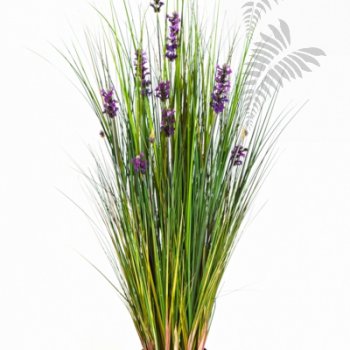 Preview: LAVENDER GRASS 120 1047LV-120
