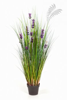 LAVENDER GRASS 120 1047LV-120