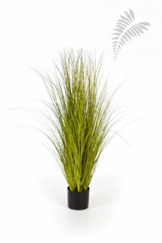 Beiermeister Hydrokulturen - Kunstpflanzen Gräser