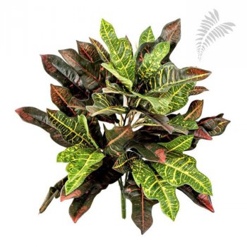 CROTON BUSH X 48 LVS 1073FR