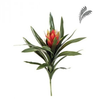 Bromelia Ginger Red 40cm 1078R
