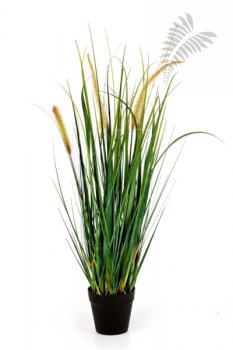 FOXTAIL WILD GRASS W/FL 60cm 1103N-060