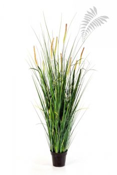 FOXTAIL WILD GRASS W/FL 140cm 1103N-140