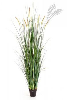 FOXTAIL WILD GRASS W/FL 175cm 1103N-175