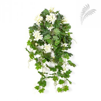 GERANIUM CASCADE HANGING BUSH 1151CR