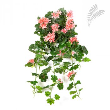 GERANIUM CASCADE HANGING BUSH 1151P