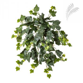 IVY HANGING BUSH 133x - UV 1160N-UV