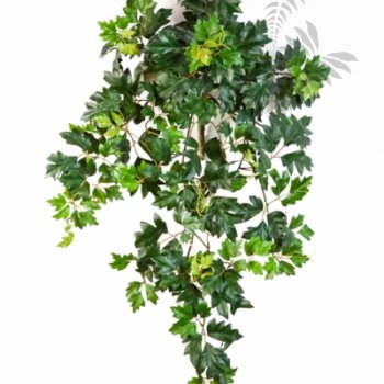Preview: GRAPE IVY HANGING BUSH X 7 1190N