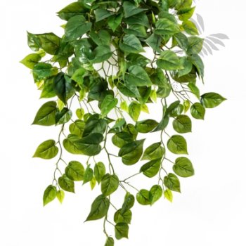 Preview: Philo Hanging Bush X 232 85cm 1194N