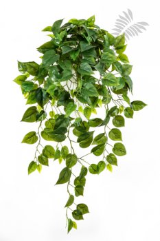 Philo Hanging Bush X 232 85cm 1194N