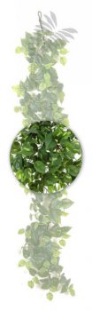 POTHOS GARLAND 180 CM 1196N