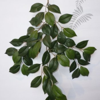 Preview: FLAME RET. CAMELIA SPRAY 1224FR