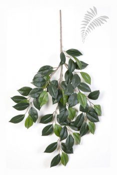 CAMELIA SPRAY X 3 1224N