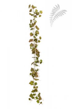 GRAPE IVY VINE AUTUMN 230 CM 1290NR