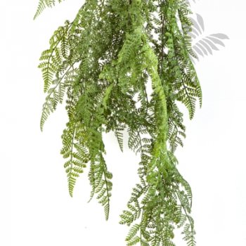 Preview: WOOD FERN HANGING BUSH 1303N