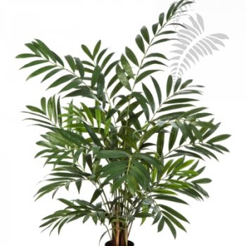Preview: Parlour Palm 110cm X 12 1340N