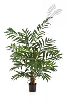 Parlour Palm 110cm X 12 1340N