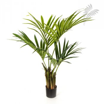NATURAL KENTIA PALM 110cm 1341N