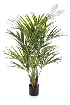 NATURAL KENTIA PALM DE LUXE 1342XL