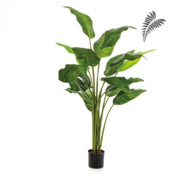 Royal Traveller Palm 170cm 1361N