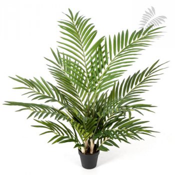 80 cm Forest Areca Palm 80cm 1380N