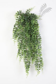 BOSTON FERN HANGING BUSH 75 1400N