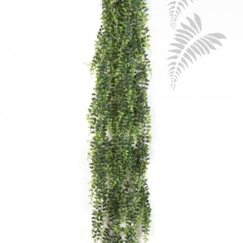 Preview: BOSTON FERN HANGING BUSH 140 1400XL
